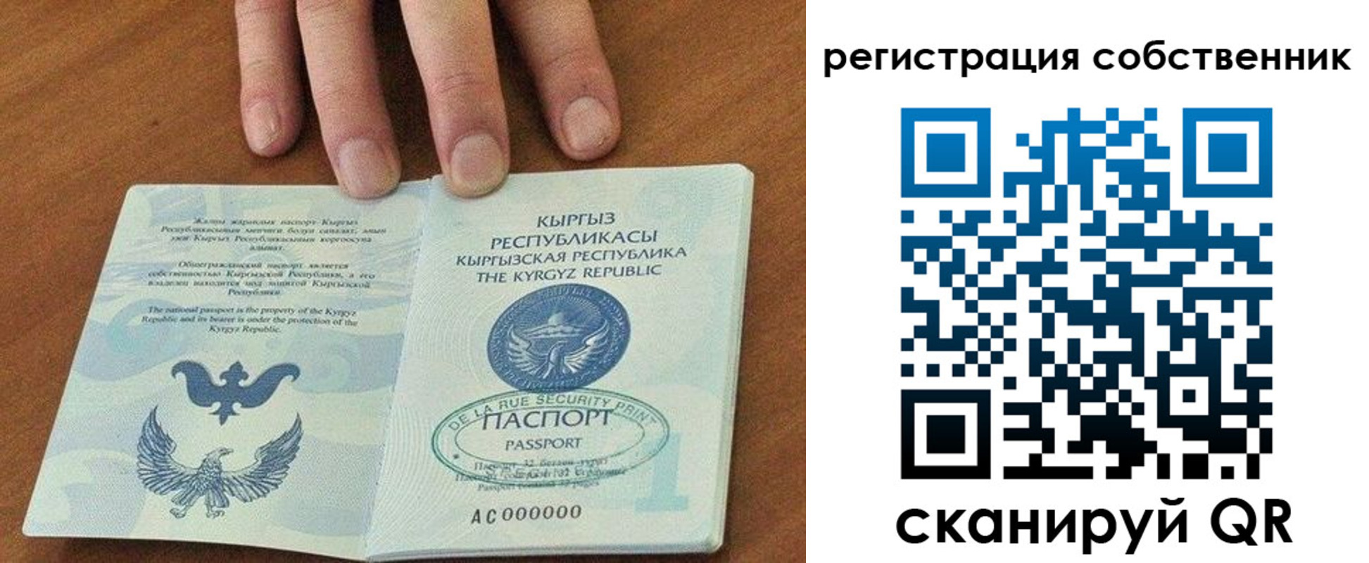 найти адрес прописки в Белгороде